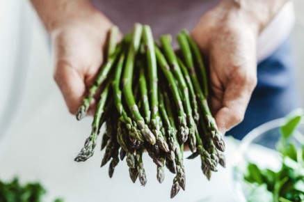 Спаржа: польза и вред для организма