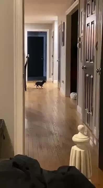 ��� ��������� �������, ����� ������ �� ���� ����������