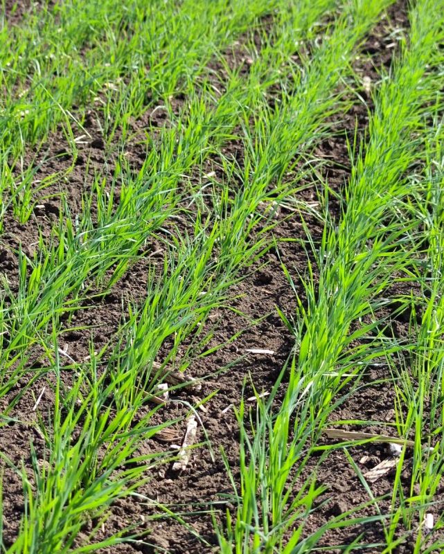 ����� ����������: ������� ����� ������� ������������� ������� �� ������������ ��������� ������� ���������������� � ��������� ������ ������� � ����� ���������� � ���� ���������� ��������� �������, ������� � ��������������...