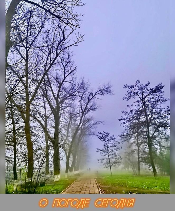 Александр Шатов: 29 ноября в Республике облачно, туман