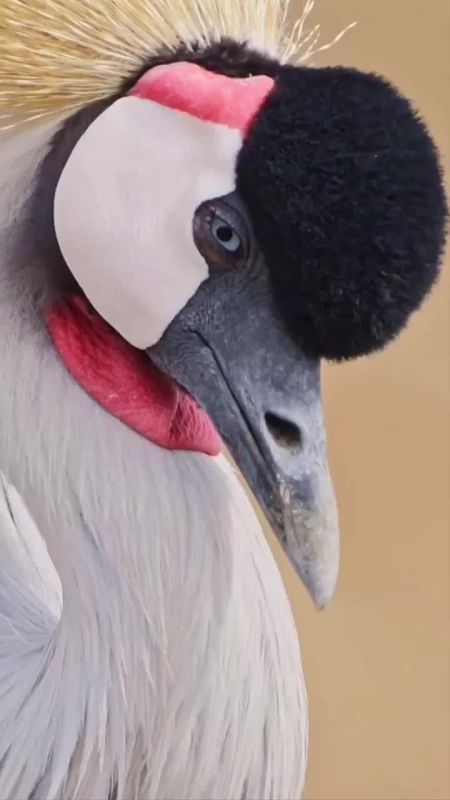 Спокойной ночи, Мариуполь!