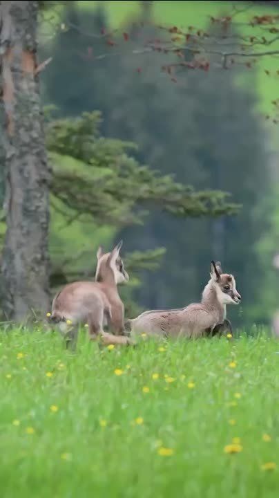 С добрым утром, Мариуполь!