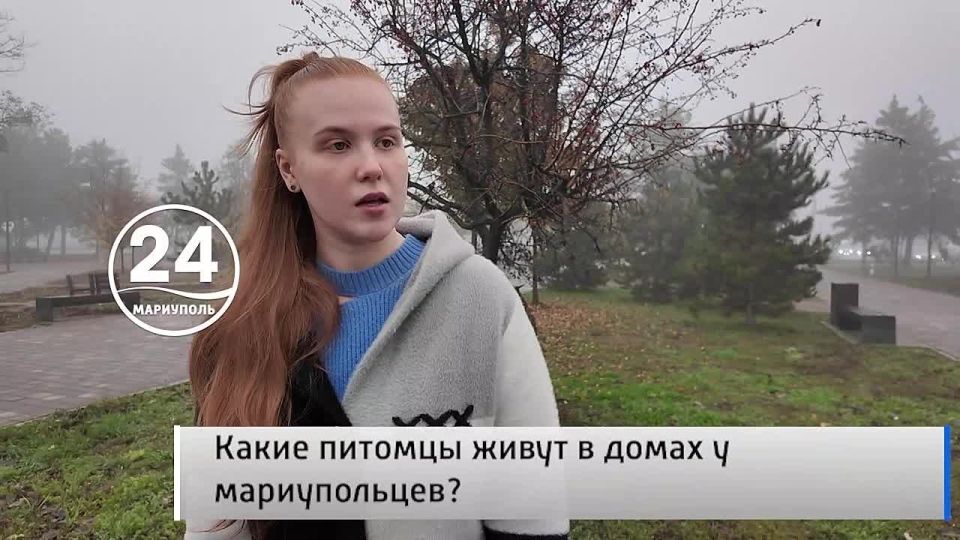 Народное мнение 29.11. Какие питомцы живут в домах у мариупольцев?