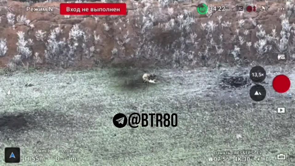 ������� �������: "�������� - �������!"