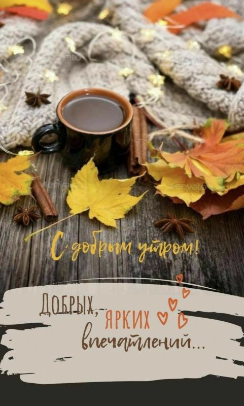 ������ ����!. ����������� ���� �������������