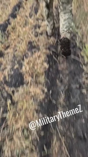     FPV   International MaxxPro   