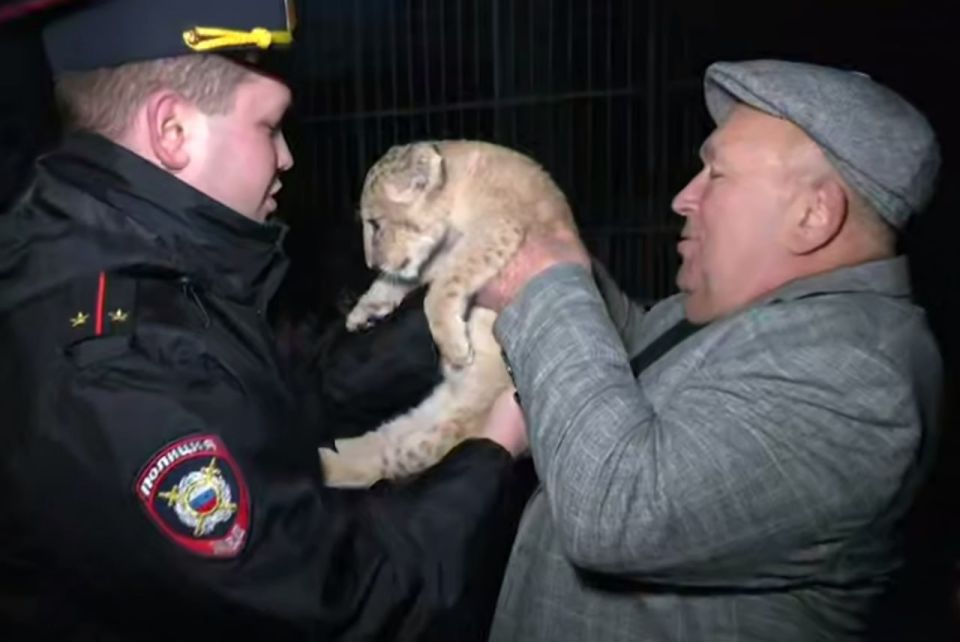 ��������� ������� - � ������������� ��������