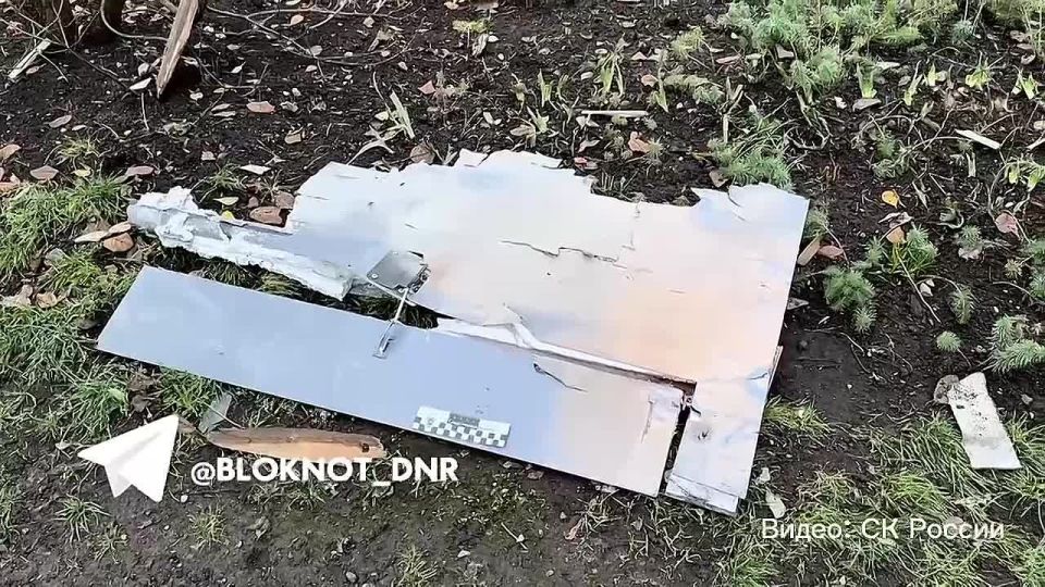 ��� ������� ������� ���� �� ������ ���� � �������: ���� ������������