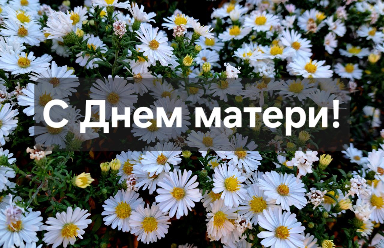 Александр Шатов: Дорогие женщины!. Примите искренние поздравления с Днем матери и сердечные пожелания добра, мира, благополучия! Нет в мире большей любви, чем любовь матери