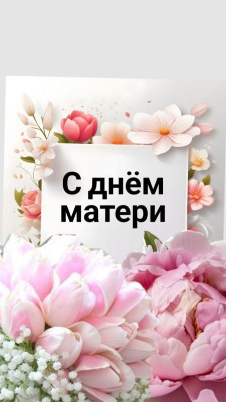 Александр Качанов: Дорогие мамы!. Сегодня мы отмечаем светлый праздник – День Матери