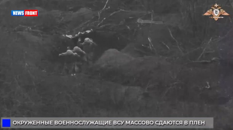 ВСУ массово сдаются в плен на Донецком направлении