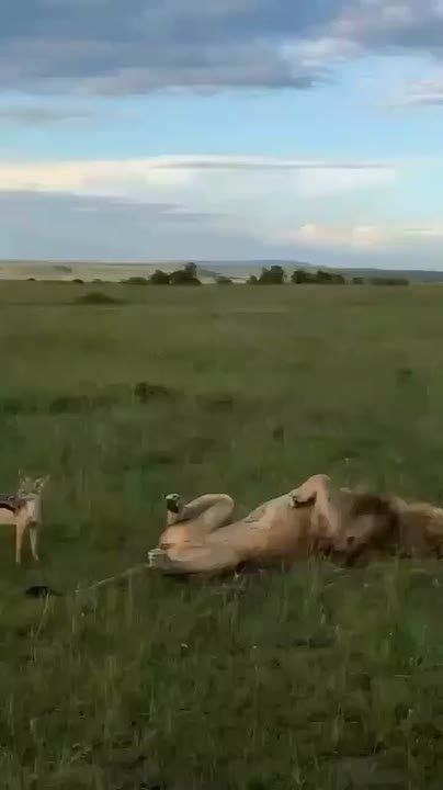 Когда начальник перепутал воскресенье с понедельником и позвонил тебе с утра