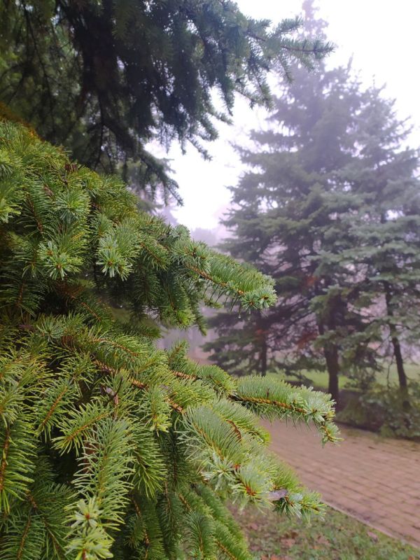 Желаем всем продуктивной рабочей недели и хорошего дня!