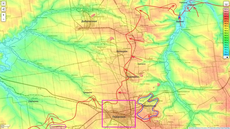 ���� ��������: �������� � �������� �����������