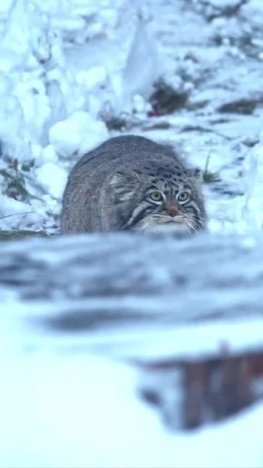  , !.         ,           National Geographic      ...