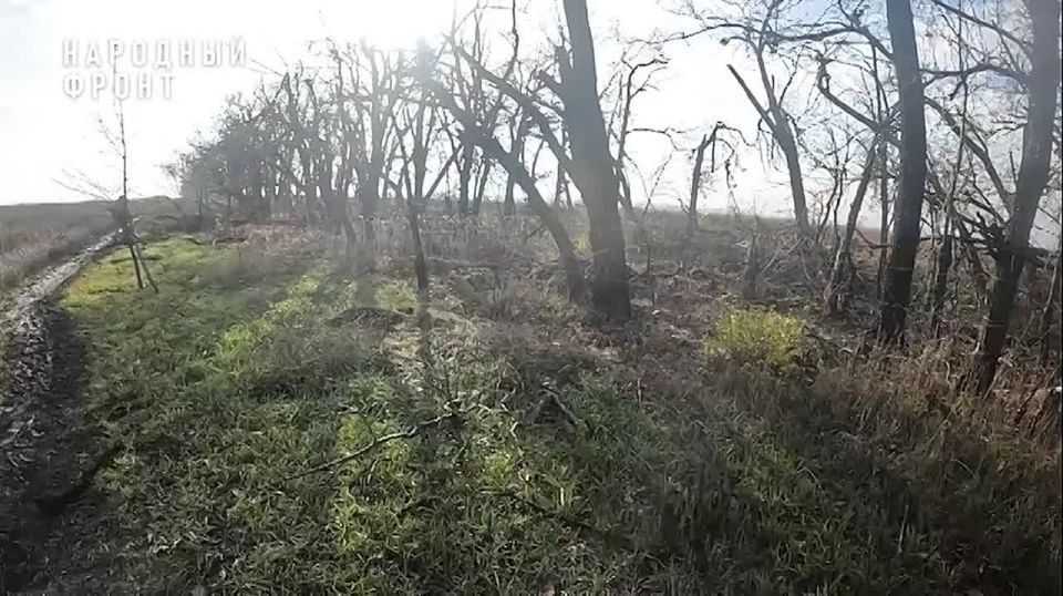 ���� "�����" ����� ��������� �������� ������� ������ ������ ����