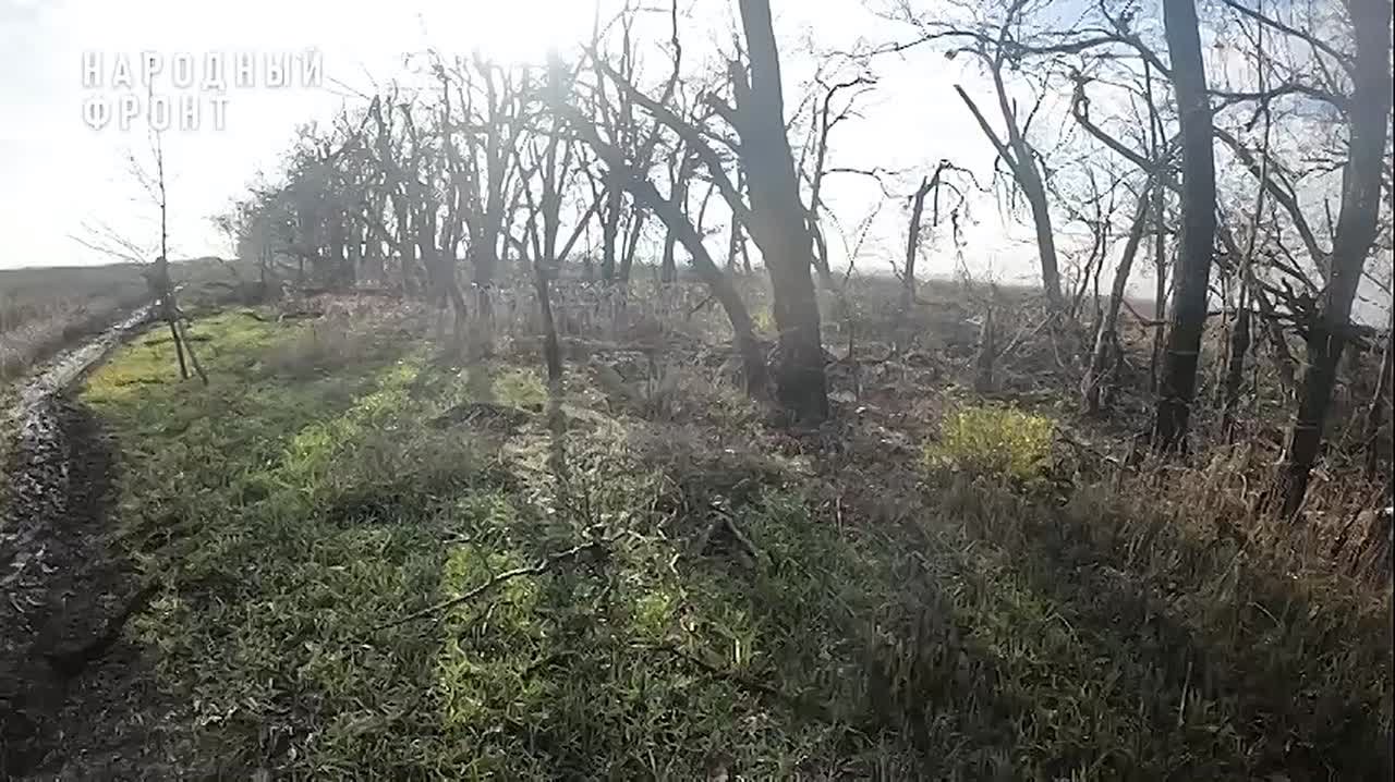 Боец "Дрозд" хочет повторить семейную историю Победы своего деда