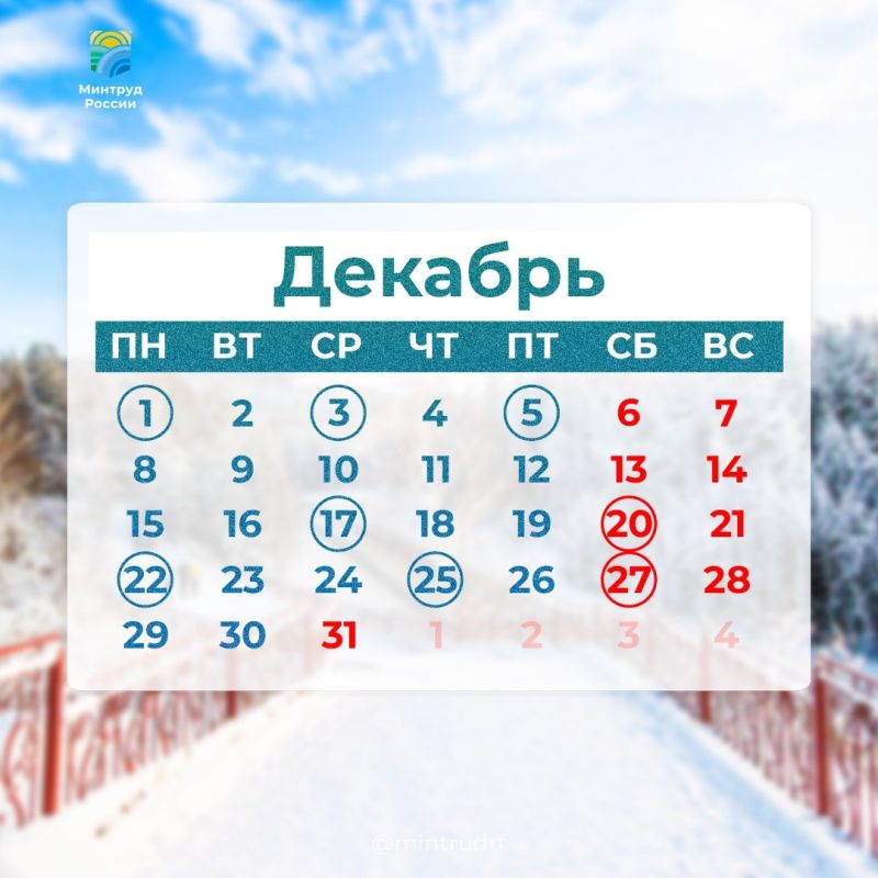 Профессиональные праздники декабря