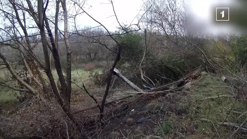 Подразделения ДНР успешно подавили новые украинские позиции на фронте