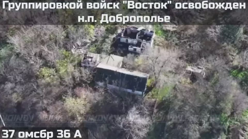 Подразделениями группировки войск «Восток» освобождены населенные пункты Доброполье и Зеленый Гай в Запорожской области