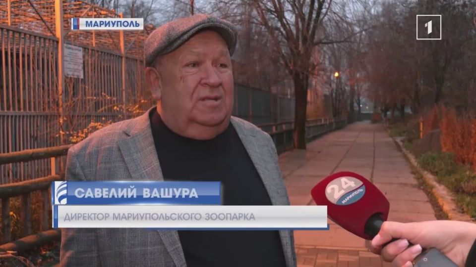 В Мариупольском зоопарке новый питомец: двухмесячного львенка принесли сотрудники полиции