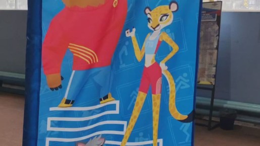  :  ,       11 ,   ,   ,   !