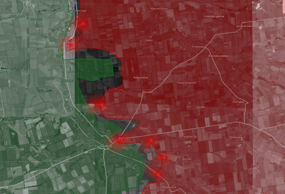 Виталий Киселев: Стальные клещи под Гуляйполем: украинский эксперт рисует картину неминуемого разгрома