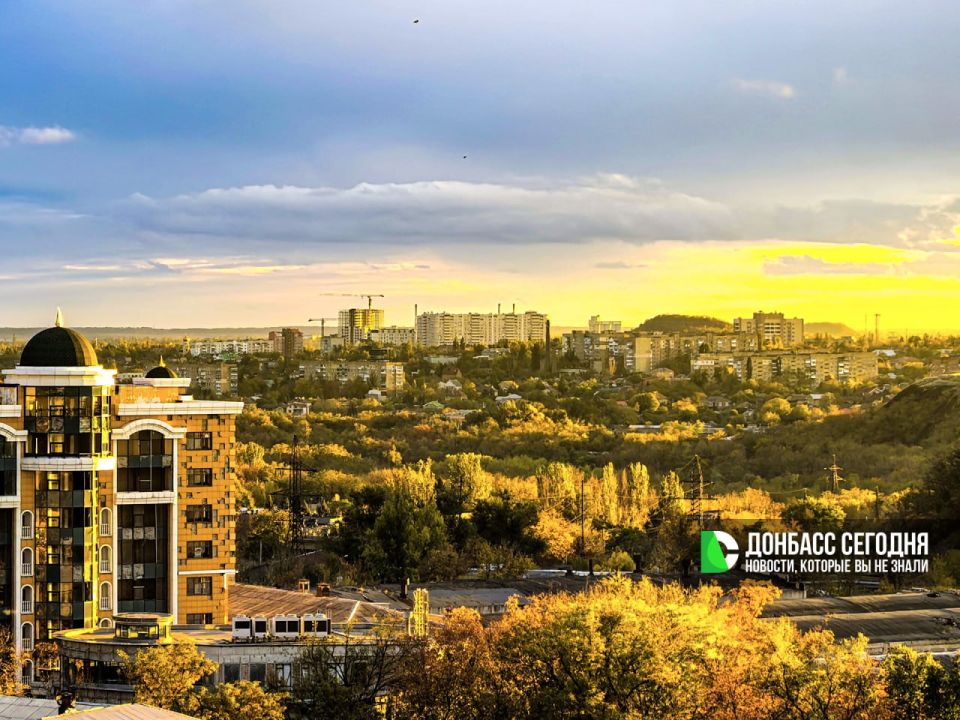 Лесам Донбасса дают вторую жизнь: помощь идёт со всей страны