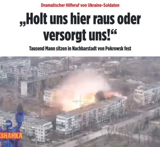      ,    ,      ,    BILD