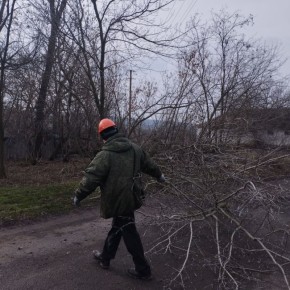 Наталья Великодная: Специалисты Тельмановского РЭС выполнили расчистку линии электропередач от веток деревьев в с. Дерсово и с. Первомайское