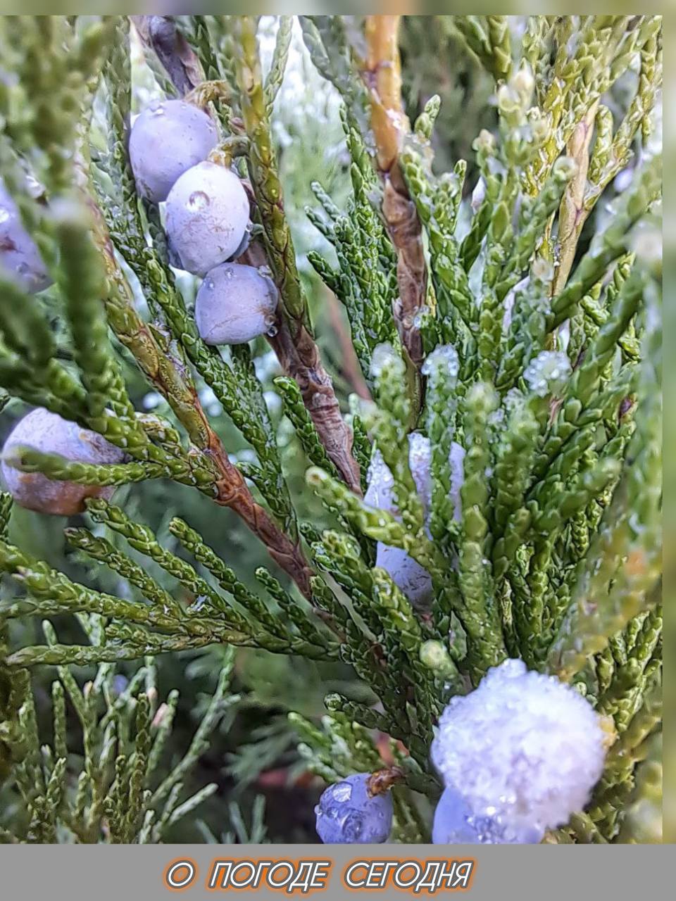 Александр Шатов: 4 декабря в Республике облачно, без существенных осадков