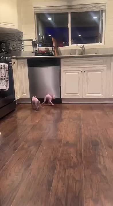 Я: не доготавливаю окорочки