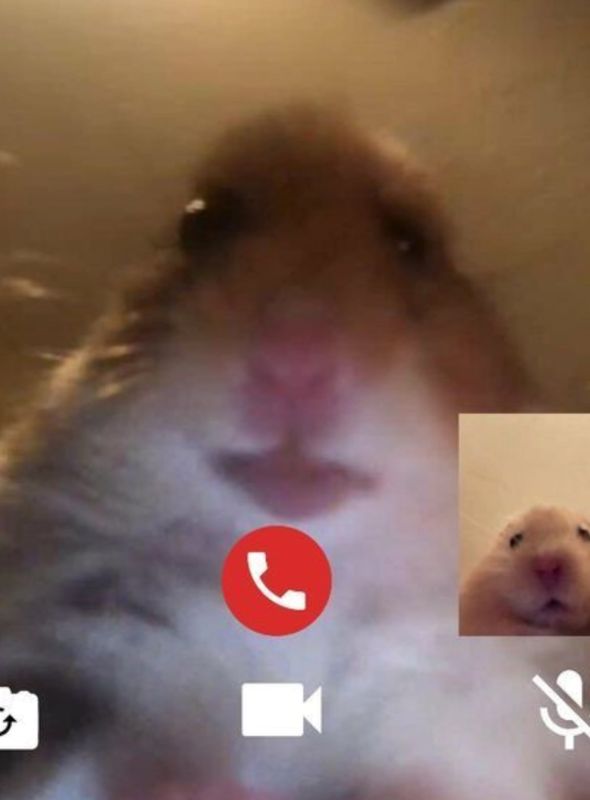 Facetime ������ ����������� � ������