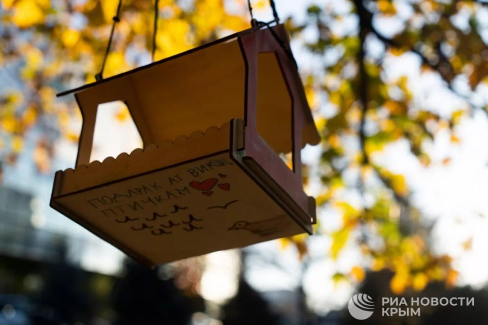 Погода на новых территориях России