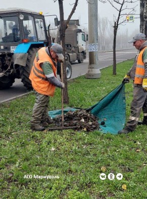 В Мариуполе рабочие зеленого строительства освобождают территории от растительного мусора
