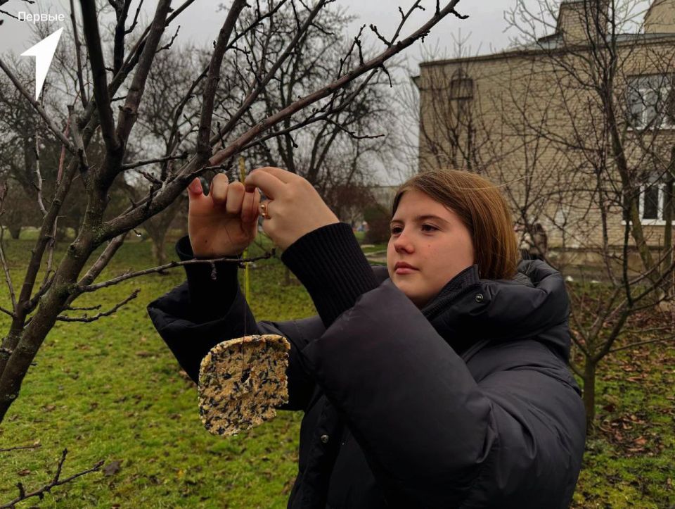 Шары с кормом для птиц. В Докучаевске наши волонтеры собрались, чтобы подготовить корма для пернатых