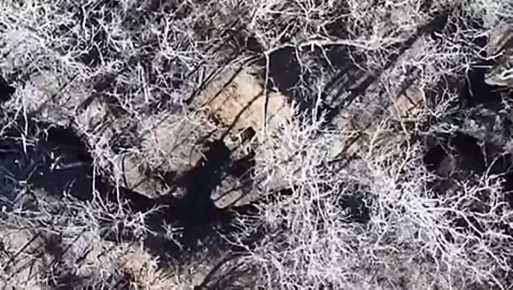 &quot;&quot;  .. 1 -  &quot;&quot; 8-        - .          ...