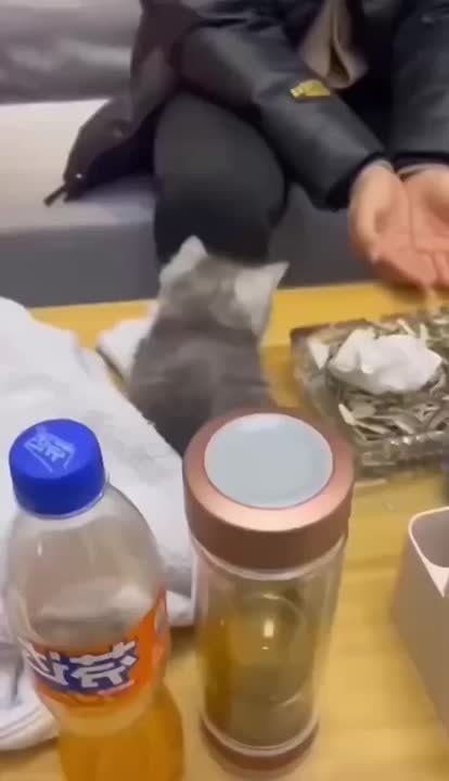 ����� ���������, �����, ����� ��������� � ����� ��������!