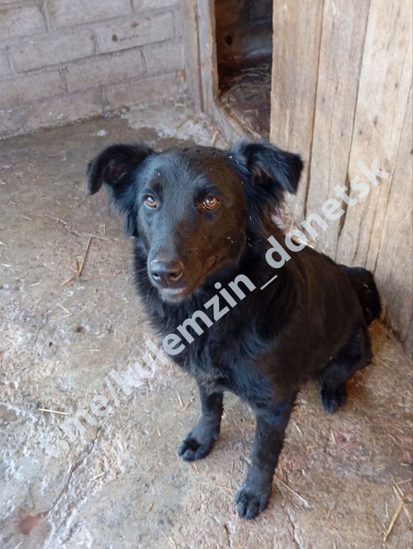 ������� ��������: ������� ����������� ��������� � ������ ��������� ��������, ����� �������� ������������ ������� ���� �� ����� �����: ������������ �� �������� � ����������� ��������, � ����� ������� ���������� �������...