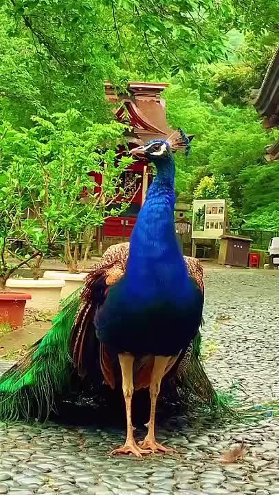 С добрым утром, Мариуполь!