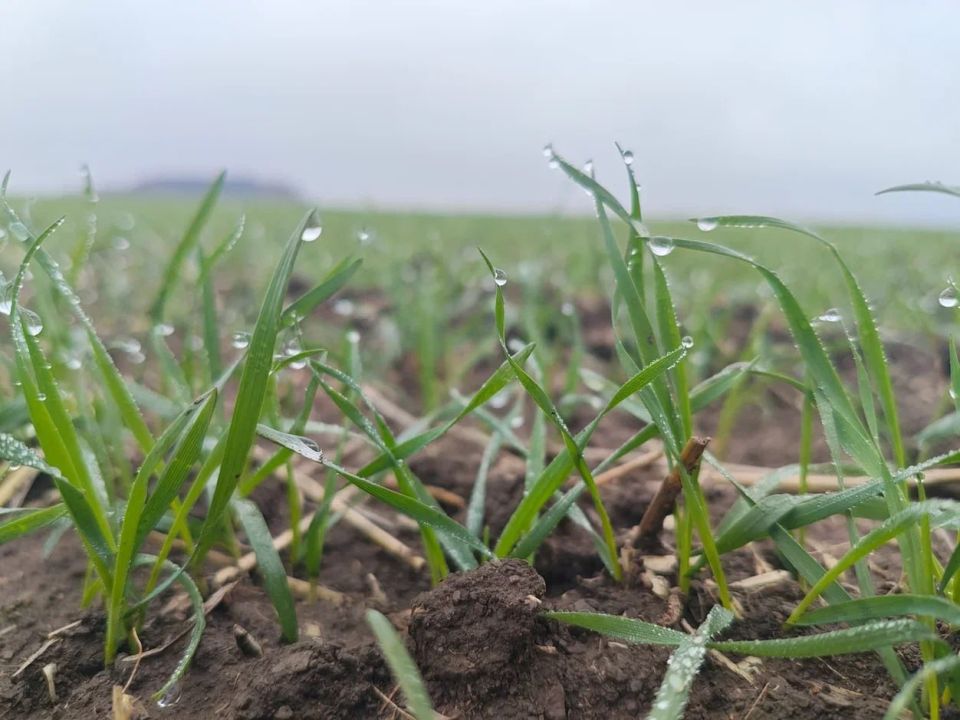 � ��� ������ ����� 90% ������� ������ �������