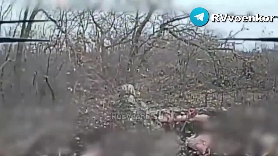 «тважные» штурмуют окружённый Мирноград и наступают в Днепропетровской области