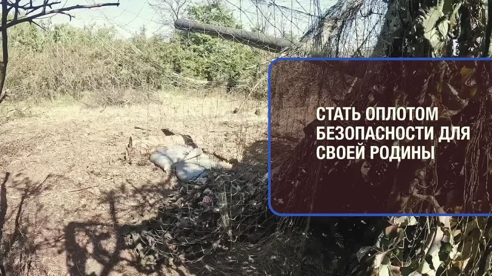 Хочешь быть полезным Родине?