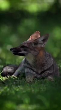 Спокойной ночи, Мариуполь!