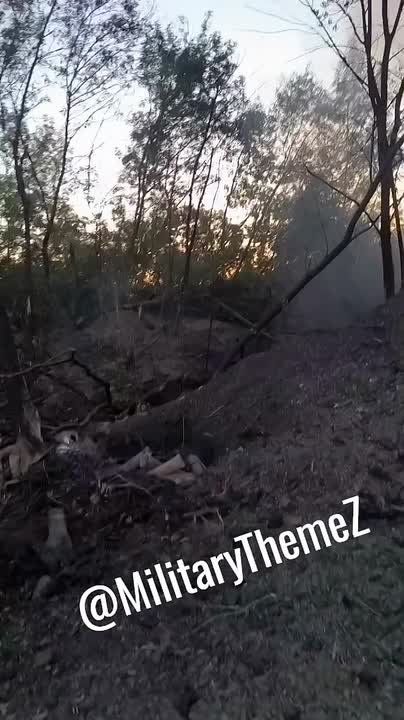 Уничтоженная 122-мм САУ 2С1 "Гвоздика" ВСУ на Северском направлении