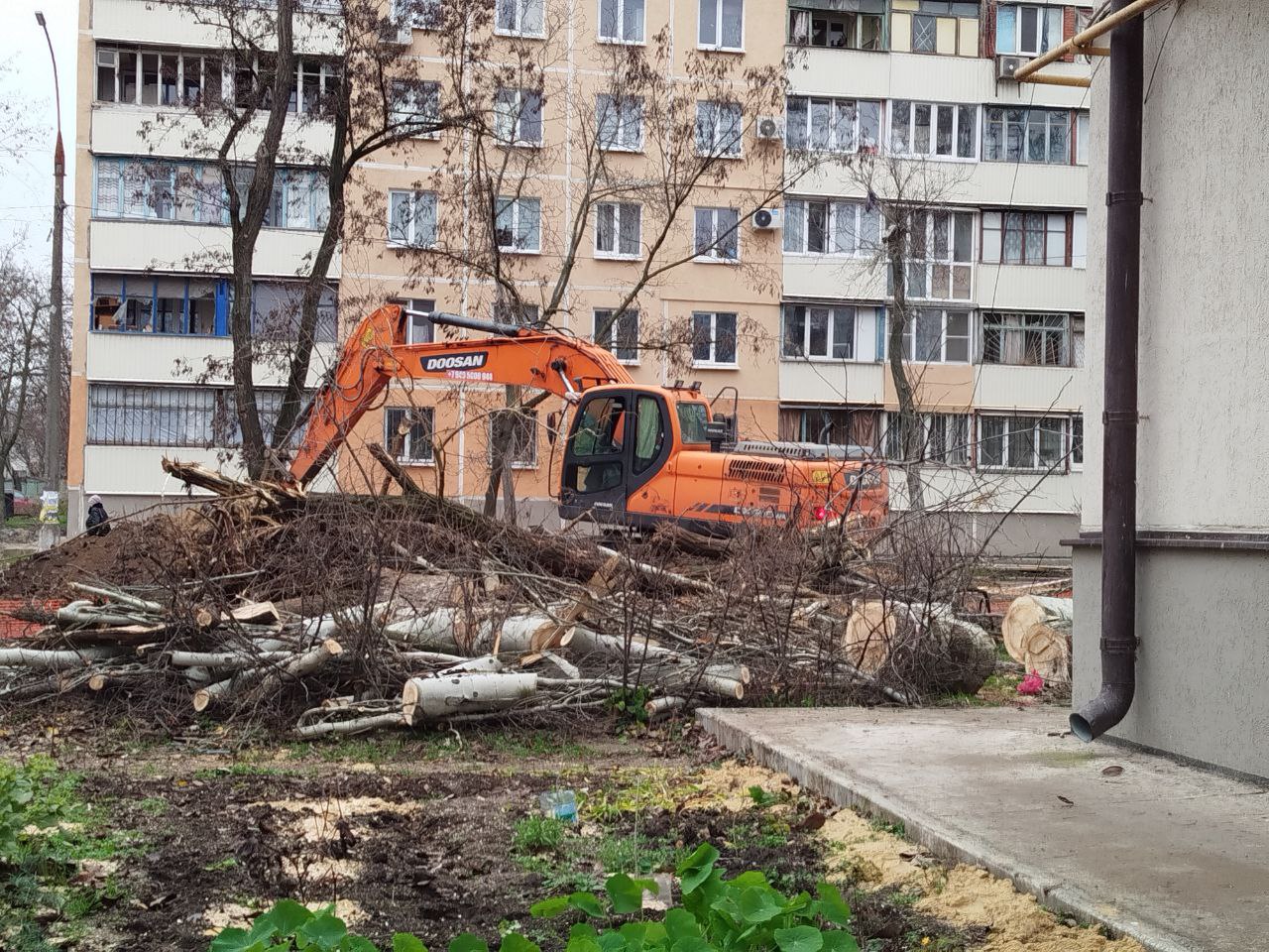 Бульвар 221-й стрелковой дивизии сегодня