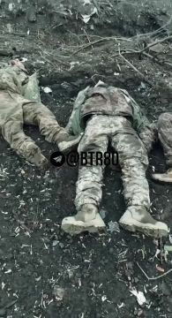 Любимая рубрика: "Попрыгал - отдохни!"