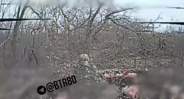 Владислав Шурыгин: Группировка ЦЕНТР наступает в Днепропетровской области и штурмуют Мирноград