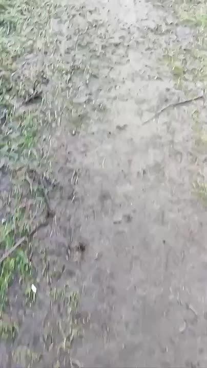 ����� ������� �� ��������� � ��������