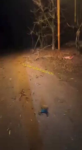            ,       4-  &quot; &quot; 4-  &quot;&quot;  